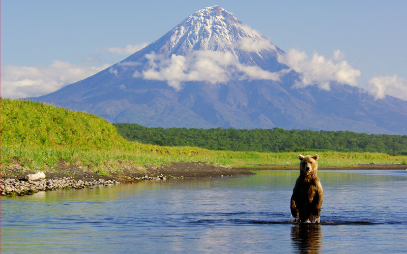 Kamchatka Land of Bears & volcanoes